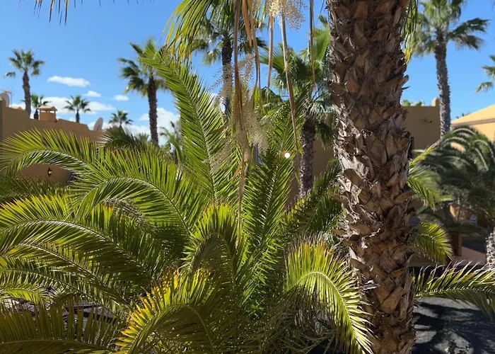 Casa Alma * كوراليهو