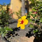 Casa Alma Appartamento