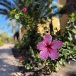 Appartamento Casa Alma
