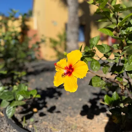 Casa Alma Appartement