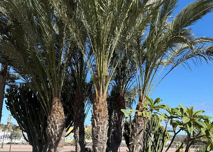 Casa Alma Appartement *