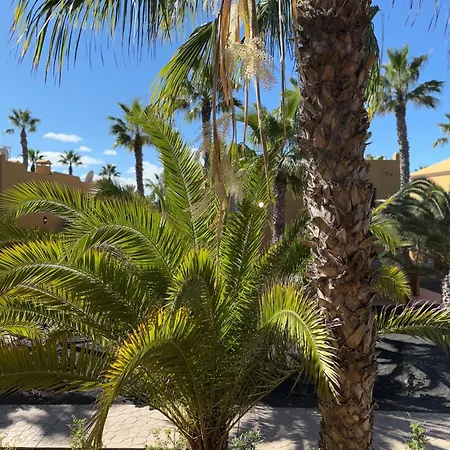 Casa Alma * Corralejo